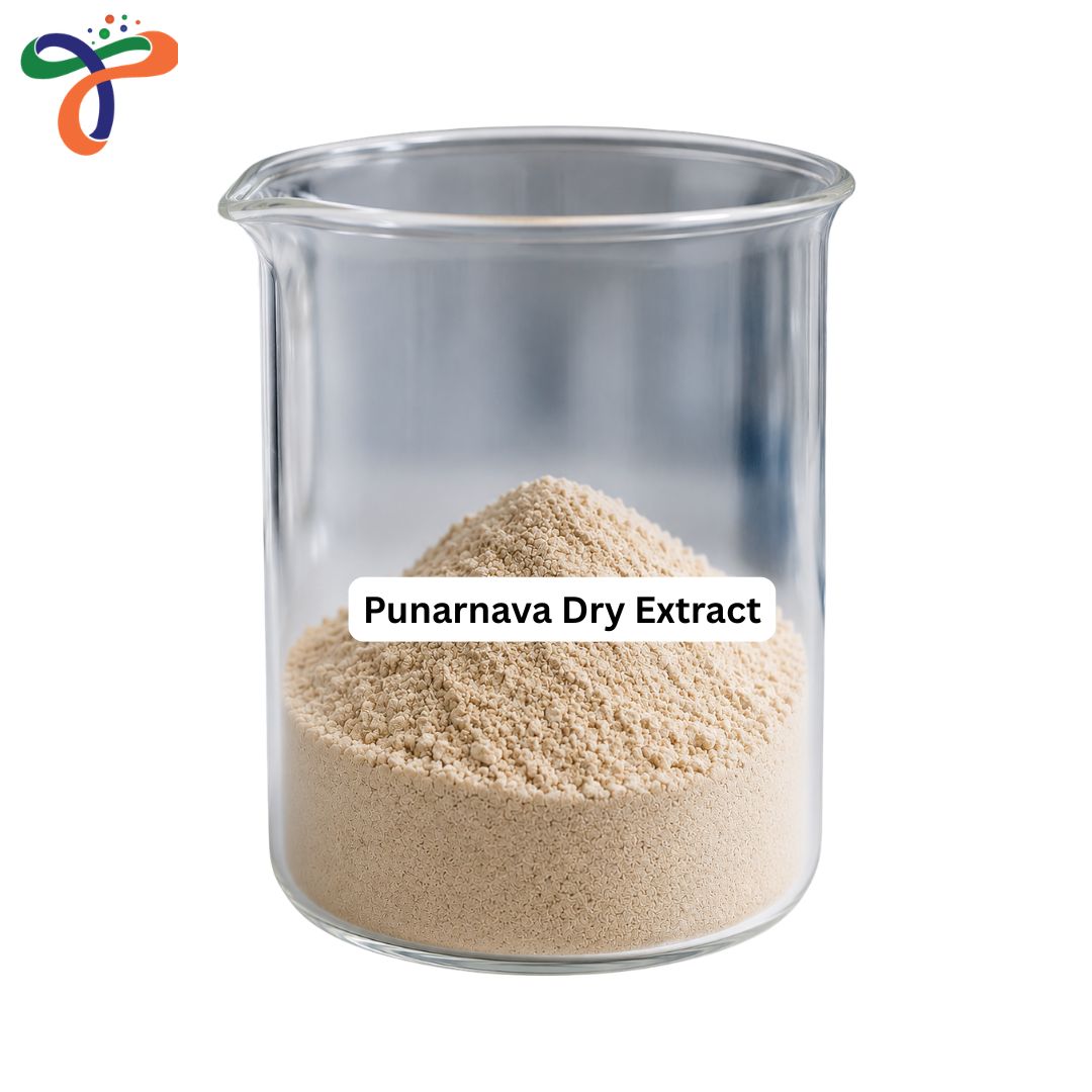 Punarnava Dry Extract